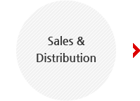 sales&distribution